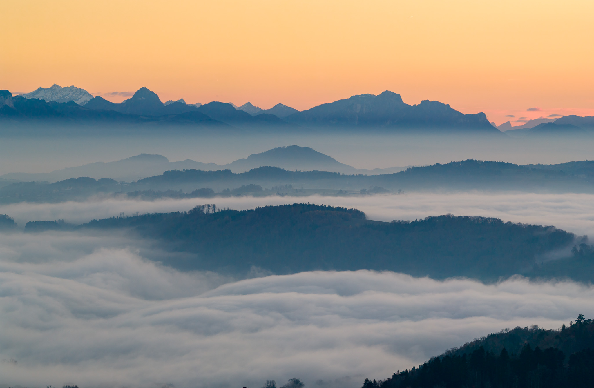 Winter or not winter?